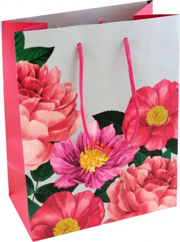 Пакет Шиповник обложка книги