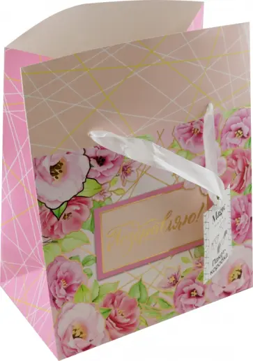 Пакет-коробка Поздравляю обложка книги