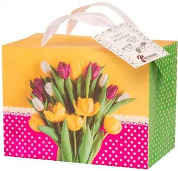 Пакет-коробка Тюльпаны обложка книги