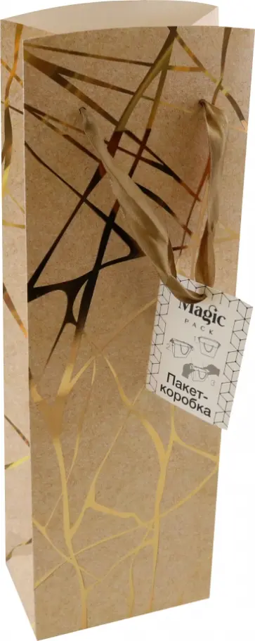 Пакет-коробка Бежевый с золотом обложка книги