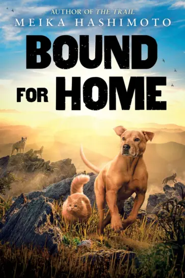 Meika Hashimoto - Bound for Home обложка книги
