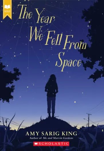 Amy King - The Year We Fell from Space обложка книги