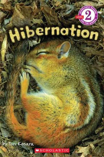 Tori Kosara - Hibernation. Level 2 обложка книги