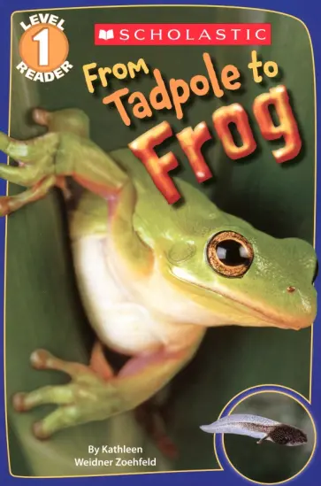 Zoehfeld Weidner - From Tadpole to Frog. Level 1 обложка книги