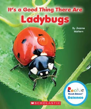 Joanne Mattern - It's a Good Thing There Are Ladybugs обложка книги