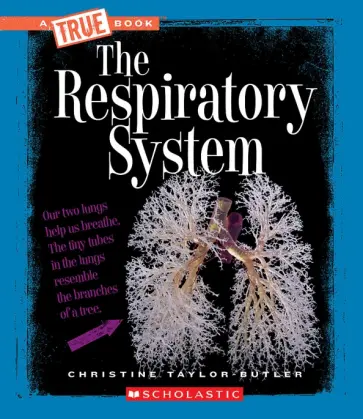 Christine Taylor-Butler - The Respiratory System обложка книги