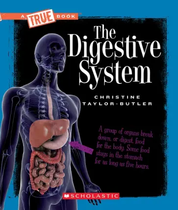 Christine Taylor-Butler - The Digestive System обложка книги