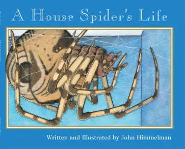 John Himmelman - A House Spider's Life обложка книги