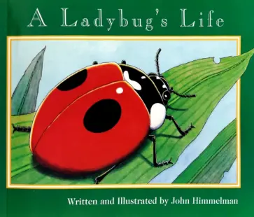 John Himmelman - A Ladybug's Life обложка книги