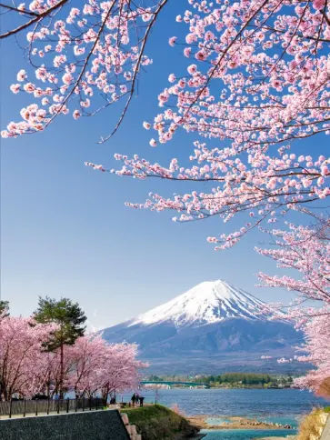 1000 лучших мест планеты, которые нужно увидеть за свою жизнь обложка книги