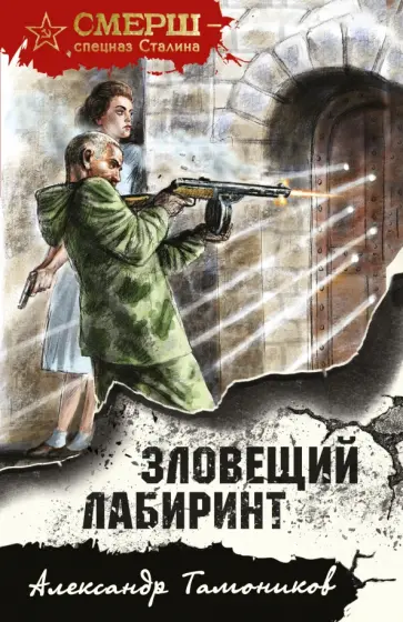 Александр Тамоников - Зловещий лабиринт обложка книги