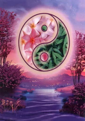 Алмазная мозаика Инь-Ян обложка книги