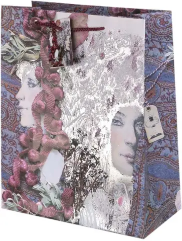 Пакет Сестры обложка книги