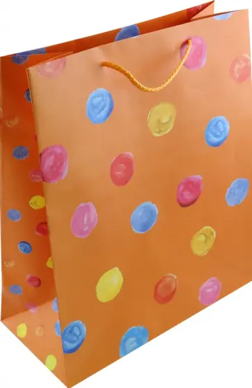 Пакет Оранжевый обложка книги