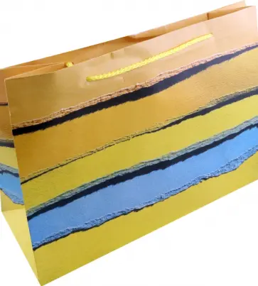 Пакет Полосы обложка книги