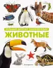 Миниатюра 1