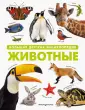 Детские энциклопедии о животных