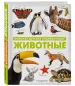 Миниатюра 2