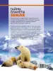Миниатюра 3