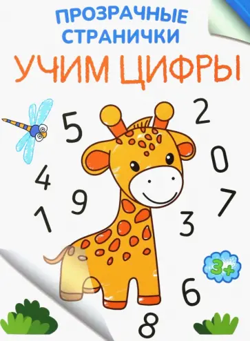 Учим цифры Учим цифры обложка книги