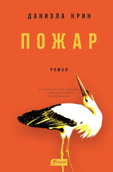 Даниэла Крин - Пожар Даниэла Крин - Пожар обложка книги