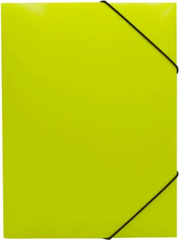 Папка на резинке Double Neon, А4, желтая обложка книги
