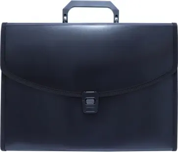 Папка-портфель, 6 отделений, А4, черная Папка-портфель, 6 отделений, А4, черная обложка книги