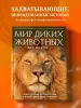 Миниатюра 4
