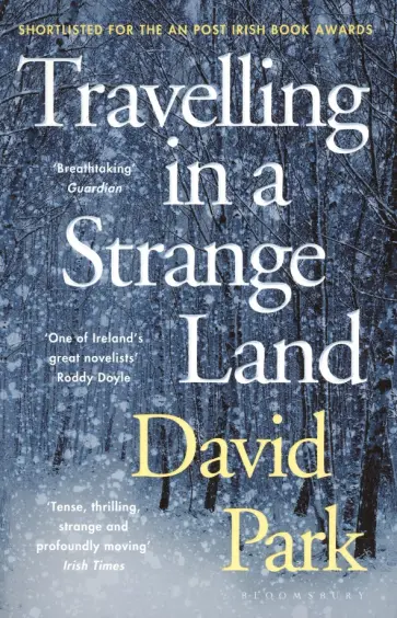 David Park - Travelling in a Strange Land обложка книги