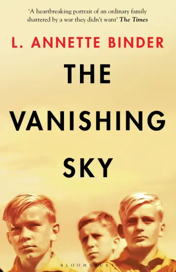L. Binder - The Vanishing Sky обложка книги