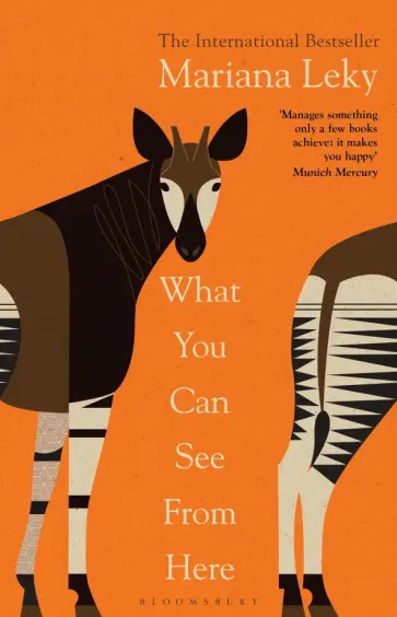 Mariana Leky - What You Can See From Here Mariana Leky - What You Can See From Here обложка книги