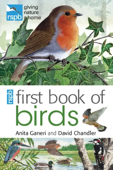 Ganeri, Chandler - RSPB First Book Of Birds обложка книги