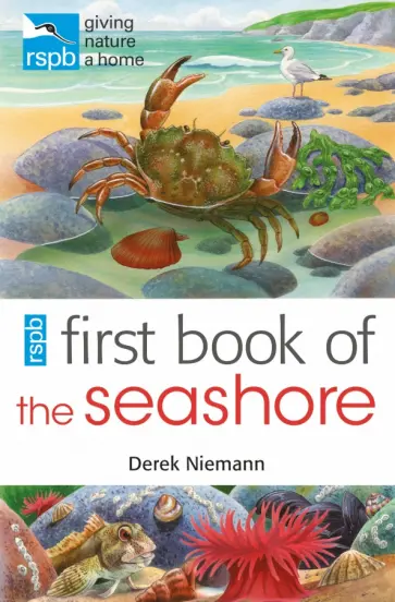 Derek Niemann - RSPB First Book Of The Seashore Derek Niemann - RSPB First Book Of The Seashore обложка книги