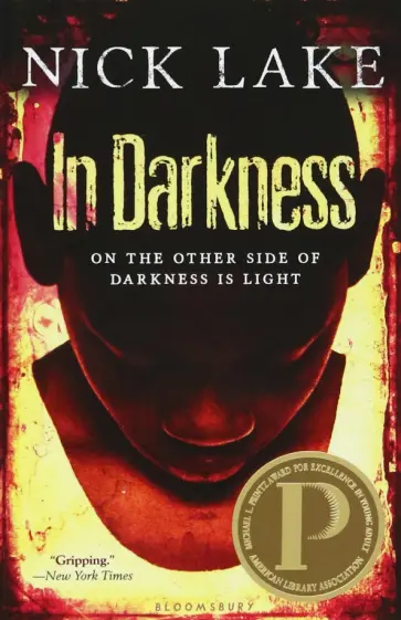 Nick Lake - In Darkness Nick Lake - In Darkness обложка книги
