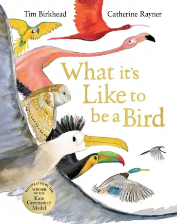 Tim Birkhead - What it's Like to be a Bird обложка книги