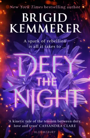 Brigid Kemmerer - Defy the Night обложка книги