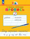 Эрозия шейки матки: симптомы, лечение, причины