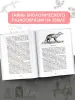 Миниатюра 5