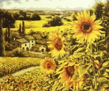 Рисование по номерам Солнечные поля обложка книги