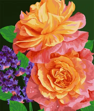 Рисование по номерам Цвета заката обложка книги