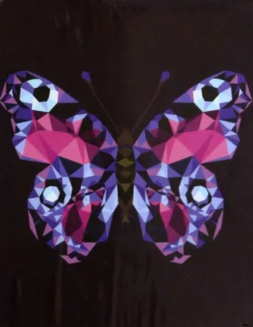 Рисование по номерам Бабочка обложка книги