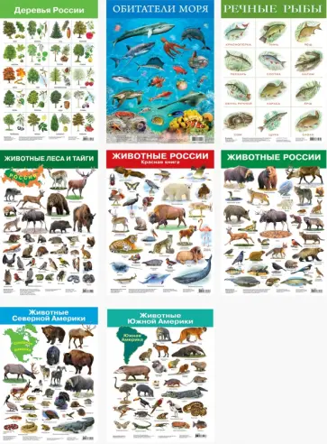 Комплект из 8 обучающих плакатов "Живая природа" обложка книги