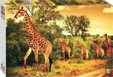 Puzzle-4000 Южноафриканские жирафы Puzzle-4000 Южноафриканские жирафы обложка книги