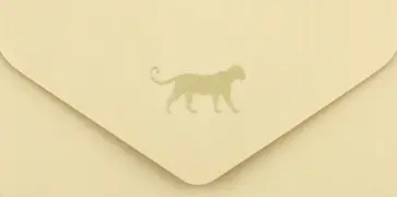 Конверт для денег Бархатный сезон. Леопард обложка книги