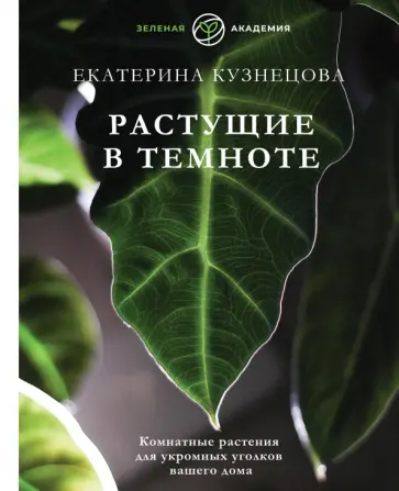 Оборудование для печати на ткани: виды, характеристики, обзор принтеров