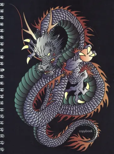 Тетрадь Дракон, 48 листов, клетка обложка книги