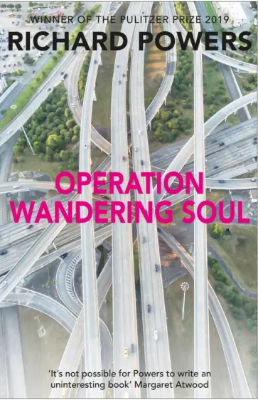Richard Powers - Operation Wandering Soul Richard Powers - Operation Wandering Soul обложка книги