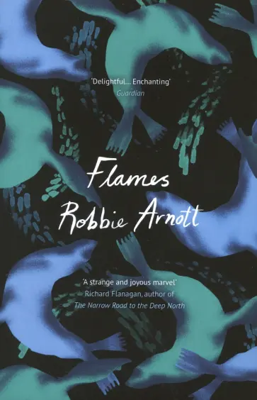 Robbie Arnott - Flames обложка книги