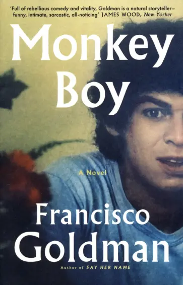 Francisco Goldman - Monkey Boy Francisco Goldman - Monkey Boy обложка книги