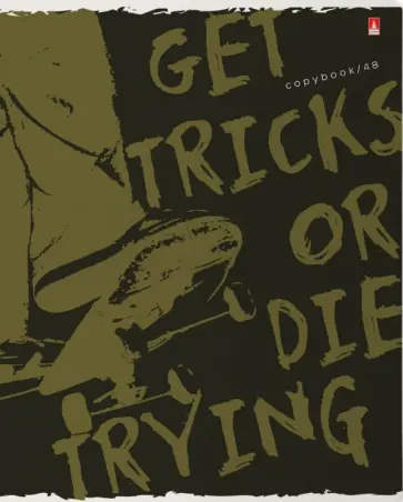 Тетрадь Скейт-Парк, 48 листов, клетка, А5, в ассортименте обложка книги